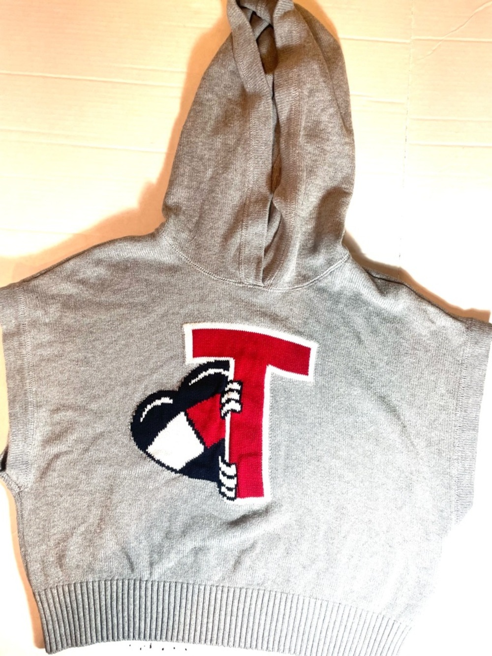 Tommy Hilfiger Gray Hoodie Sweater Cropped Graphic Logo Preppy Streetwear Sz.S - Picture 6 of 11